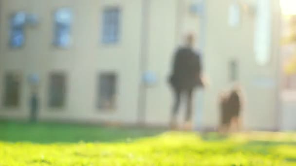Värdinnan driver tillsammans med sin hund på det gröna gräset, lysande ljusa solljus, sommardag — Stockvideo