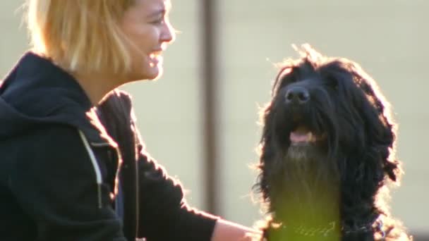 Amante ri e abraça seu grande cão preto — Vídeo de Stock