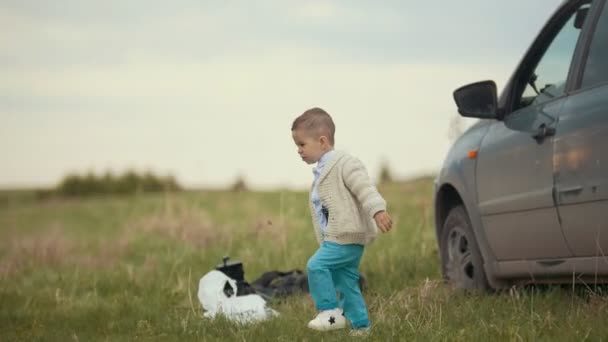 Маленький мальчик бежит по траве, в облачный летний день — стоковое видео