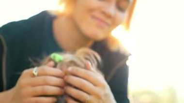 Bir kız okşayarak küçük bir köpek, parlak güneş ışığı, yaz günü