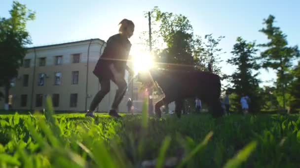 Eine junge Frau hält den großen Hund an der Leine und wendet ihn, sonniger Sommer — Stockvideo