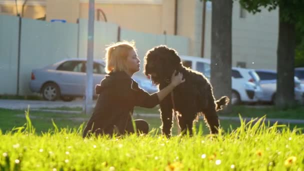 Chica y gran perro negro sentado en el césped en el Parque, la luz del sol, en el primer plano hierba verde brillante — Vídeos de Stock