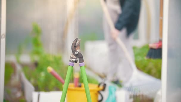 Forbici da giardino, sullo sfondo ragazza che lavora rastrello, giorno d'estate — Video Stock