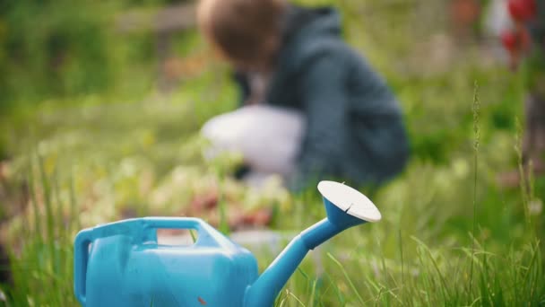 Blue watering can, in the background a girl sitting digs up the earth — Stock Video