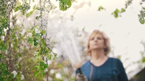 Riego de las ramas de los manzanos con una manguera, día de verano en el jardín — Vídeo de stock