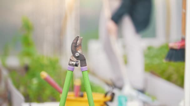 Garden scissors, in the background girl working rake, summer day — Stock Video