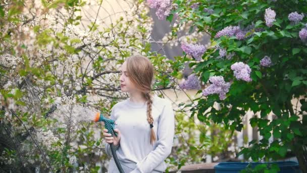 Junges Mädchen tränkt Kirsche vor fliederfarbenem Hintergrund, Sommertag — Stockvideo