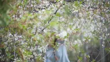 Kız onu kiraz dallar, yaz günü, yavaş hareket, telefoto çekim yapmak çalışır
