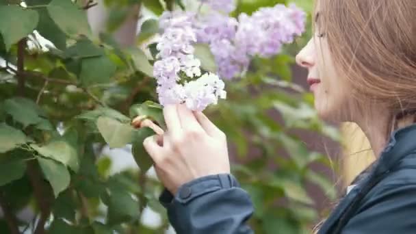 Blommande syren, flicka njuter doften av blommor — Stockvideo