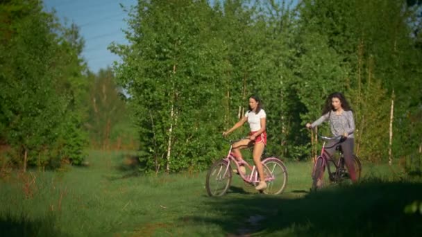 Meninas bonitas em bicicletas no fundo de árvores verdes em um dia ensolarado no parque — Vídeo de Stock