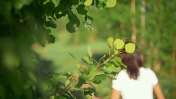 Äste im Wind, Hintergrund junger Mädchen auf Fahrrädern, verschwommen, grüner Wald, Sommertag — Stockvideo