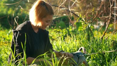 Bir kız okşayarak küçük bir köpek, parlak güneş ışığı, yaz günü