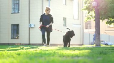 Kız ve köpek parkı ile ağaçlar ve binalar, arka plan üzerinde yaz günü çalışan bir leash üzerinde