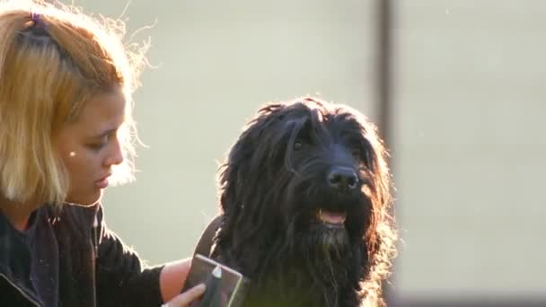 La señora se ríe y abraza a su gran perro negro — Vídeos de Stock