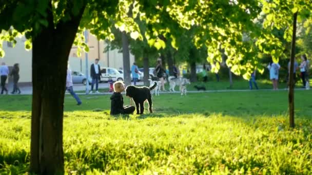 Κορίτσι και μεγάλο μαύρο σκυλί κάθεται στο γρασίδι στο πάρκο, φως του ήλιου, στο προσκήνιο φωτεινό πράσινο γρασίδι — Αρχείο Βίντεο
