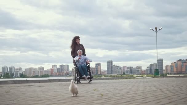 Homme handicapé en fauteuil roulant avec une jeune femme jouant avec un pigeon — Video