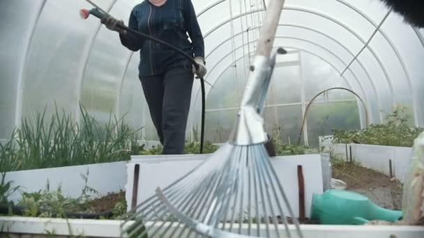 Mormor i ett växthus vattning plantor, sommardag, slow motion — Stockvideo