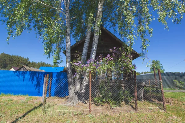 Velha casa de madeira no verão aldeia russa — Fotografia de Stock