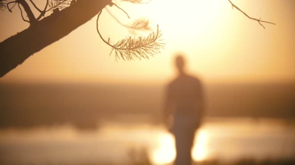Ramo de árvore na frente do homem silhueta andando para a frente na colina ao pôr-do-sol - borrado — Vídeo de Stock
