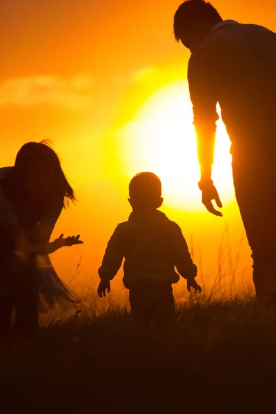 父母-妇女和人与婴孩演奏在夏天日落草甸剪影 — 图库照片