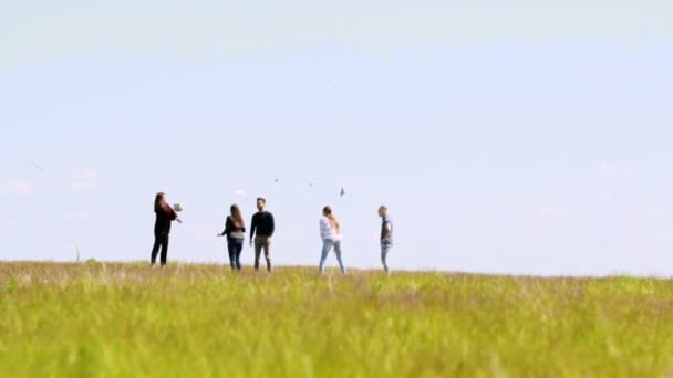 Unga glada vänner leker med en boll i sommardag på fältet — Stockvideo