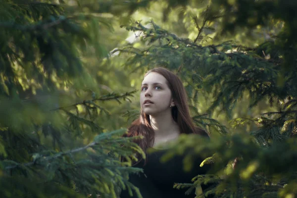 Красивая молодая женщина в черной рубашке с длинными волосами позирует возле елки — стоковое фото