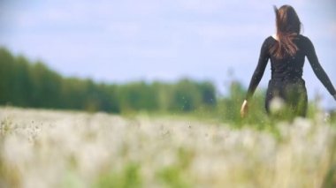 Güneşli bir günde dandelions çayır çalışan genç kadın arkadan görünüş