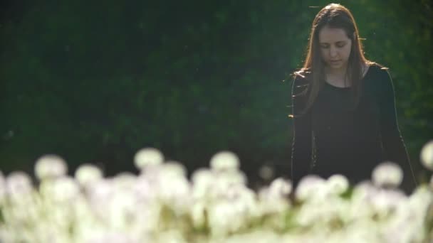 민들레의 초원에 산책 하는 매력적인 젊은 여자 — 비디오