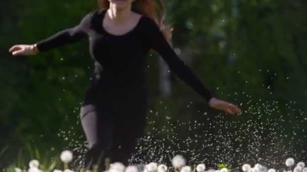 Happy young woman running to the meadow of dandelions through the flying fluff — Stock Video