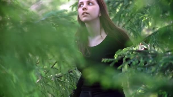 Attractive young woman walking through the spruce — Stock Video