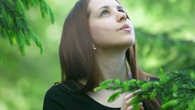 Ormandaki çam dalları genç meraklı kadın bakar