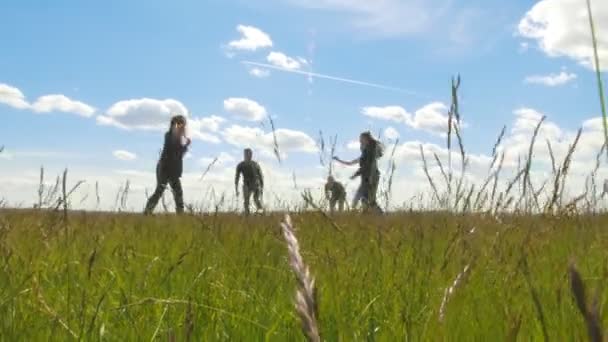 Glada vänner att ha kul på sommaren ängen, kastar ung man bollen mot kameran — Stockvideo