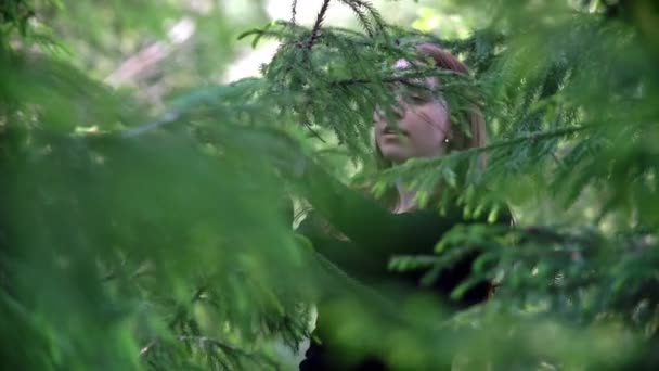 Wanita muda lucu berjalan melalui hutan cemara — Stok Video