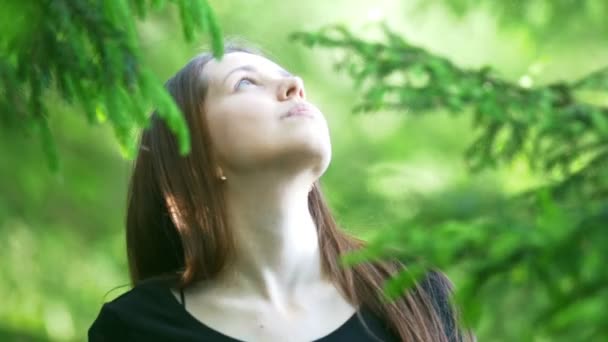 Молодая женщина смотрит на елки в солнечный день — стоковое видео