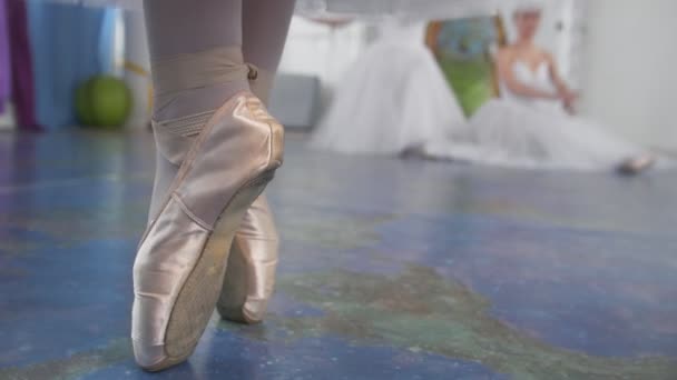 Ballet dansers schoenen op woomans voeten — Stockvideo