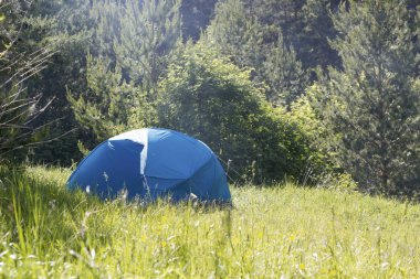 Güneşli bir gün, yeşil yaz ormandaki yeşil çadır