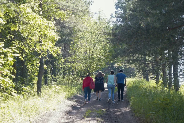 Grupo de jóvenes caminando por el sendero del bosque en un día soleado — Foto de Stock
