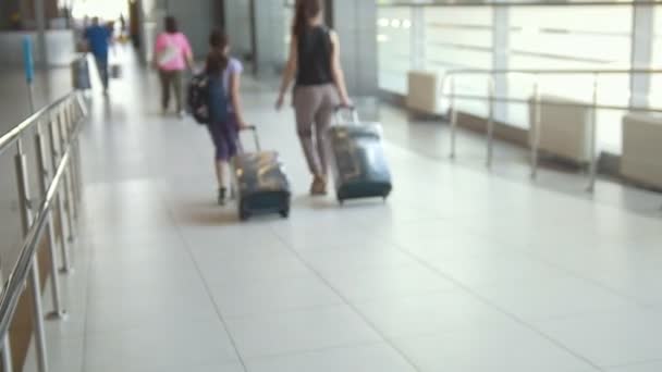 Bakifrån av familjer resenärer med resväskor som går ner till den internationella flygplatsen — Stockvideo