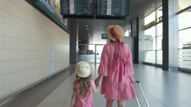 Vista trasera de las familias viajeros con maletas bajando en el aeropuerto internacional — Vídeos de Stock