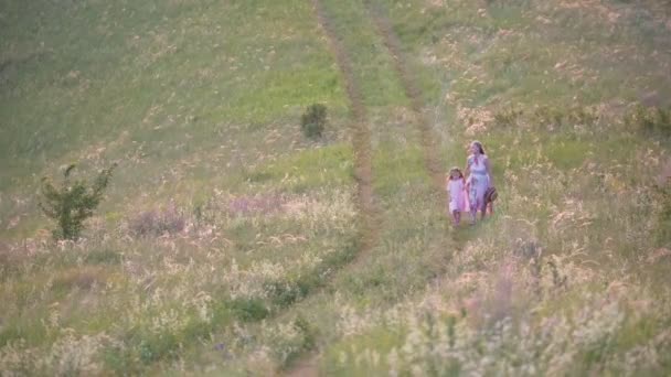 Jovem mãe e menina estão caminhando pelo campo ao pôr do sol à distância — Vídeo de Stock
