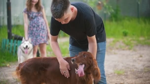 Jovem anfitrião acaricia seu cão irlandês setter e jovem mulher com husky stands no fundo — Vídeo de Stock