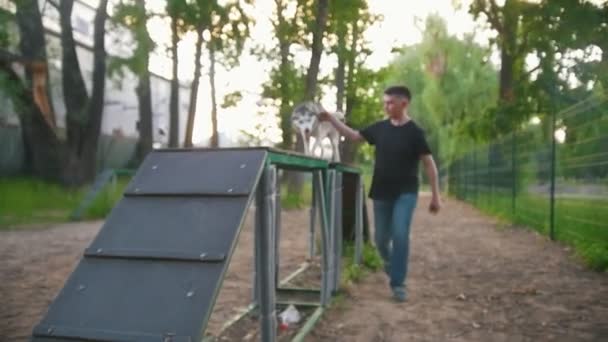 Lindo perro husky corriendo en puente con host en el patio al aire libre — Vídeo de stock