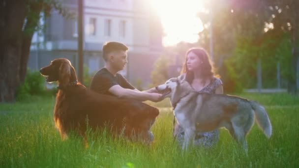 若いカップルを日没時草の上屋外休憩を持つ彼らの犬を愛する — ストック動画