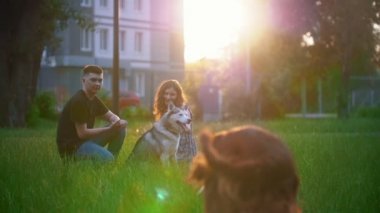 Köpek doğurmak İrlandalı setter bir dinlenme çimlere yaz gün batımında sahip genç bir çift için çalışıyor