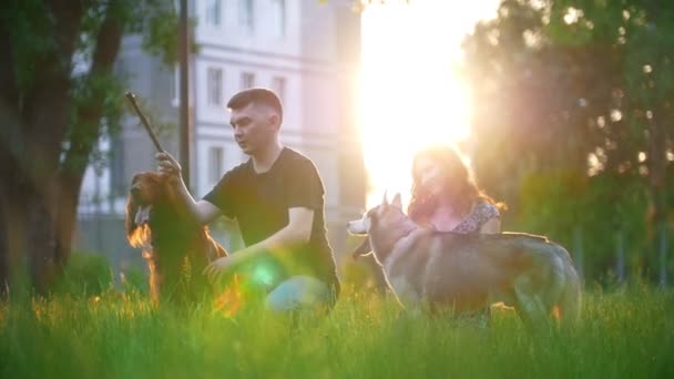 La pareja que quiere con sus perros descansando al aire libre - arroja el palo al perro al atardecer — Vídeos de Stock