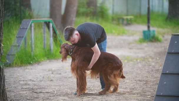 Joven hombre girando un perro irlandés setter en sus brazos al aire libre en el parque de verano — Vídeos de Stock