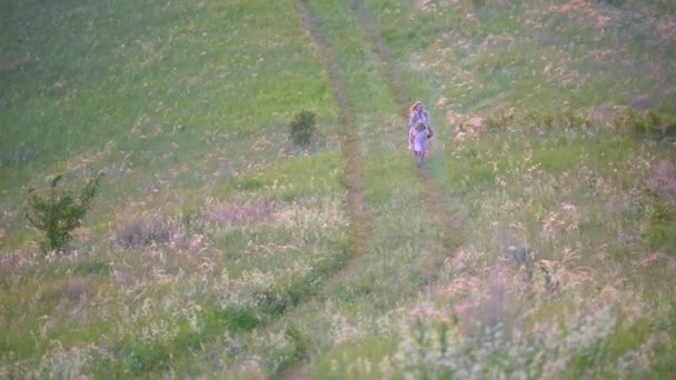 Vista aerea - Ragazza carina e la madre si divertono a correre sul prato estivo vicino al fiume — Video Stock