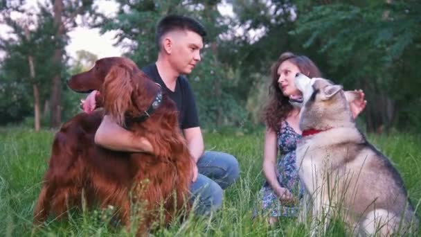 La pareja que quiere con sus perros descansando al aire libre - arroja el palo al perro al atardecer — Vídeos de Stock