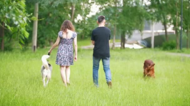 Par med husdjur promenader i parken - man och kvinna går med irländsk setter och husky — Stockvideo
