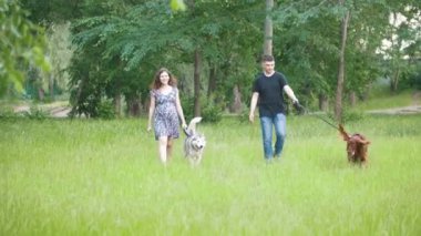 Erkek ve kadın - aile çiftle Park'ta yürüyordunuz Evcil hayvan köpek - İrlandalı kanepe ve dış yapraklar